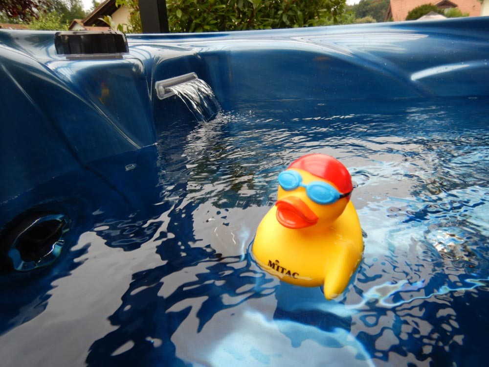 Wasser geschluckt? Keine Gefahr für Mensch und Badeente.